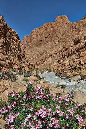 upper part of Todra Gorge