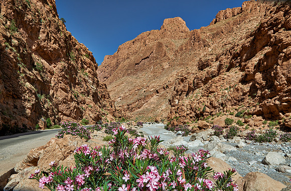 upper part of Todra Gorge