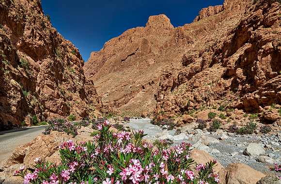upper part of Todra Gorge