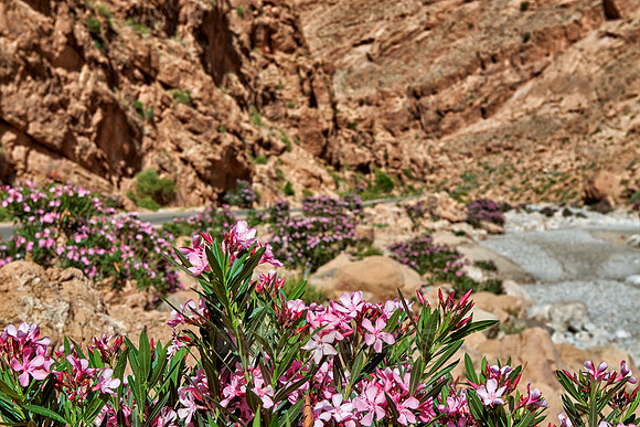 upper part of Todra Gorge