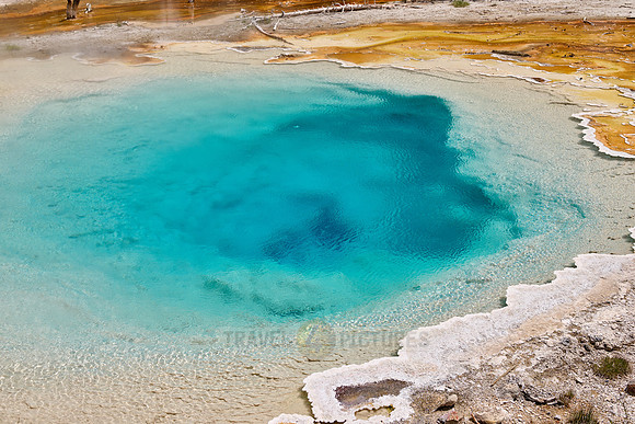 Silex Spring, Yellowstone Lower Geyser Basin