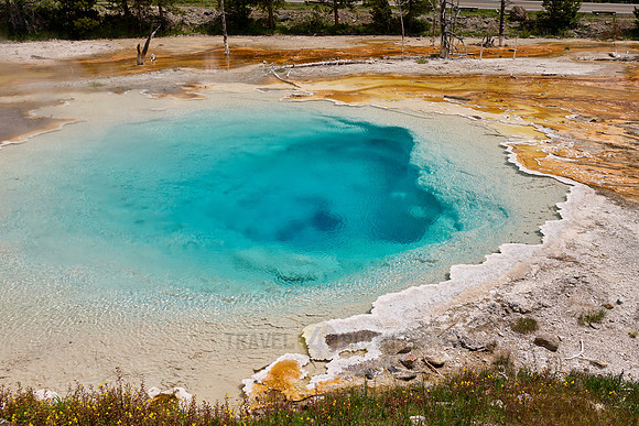 Silex Spring, Yellowstone Lower Geyser Basin
