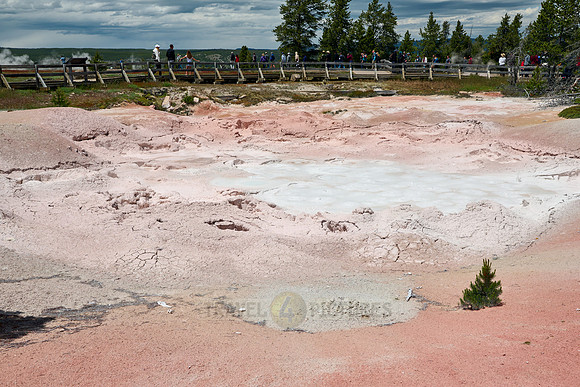 Fountain Paint Pot, Yellowstone Lower Geyser Basin