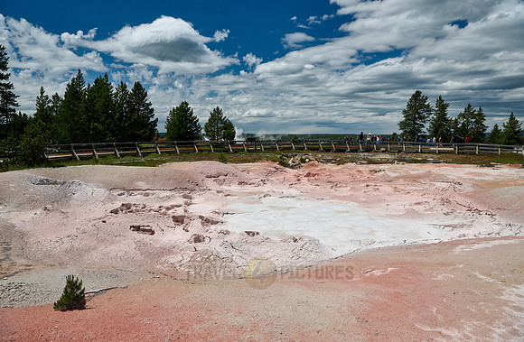 Fountain Paint Pot, Yellowstone Lower Geyser Basin