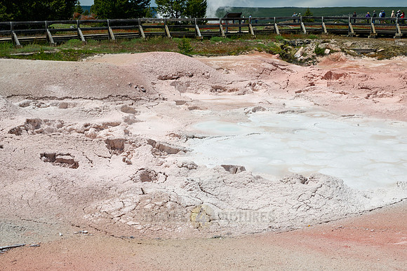 Fountain Paint Pot, Yellowstone Lower Geyser Basin