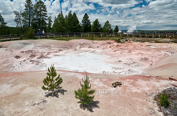 Fountain Paint Pot, Yellowstone Lower Geyser Basin