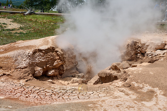 Red Spouter, Yellowstone Lower Geyser Basin
