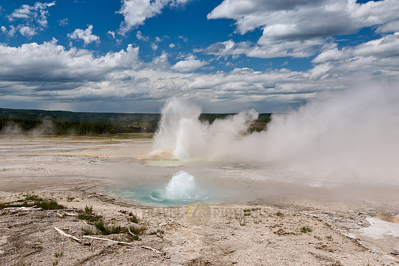 Fountain Geyser in Yellowstone Lower Geyser Basin