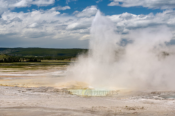 Fountain Geyser in Yellowstone Lower Geyser Basin