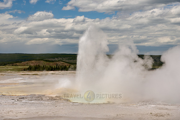 Fountain Geyser in Yellowstone Lower Geyser Basin
