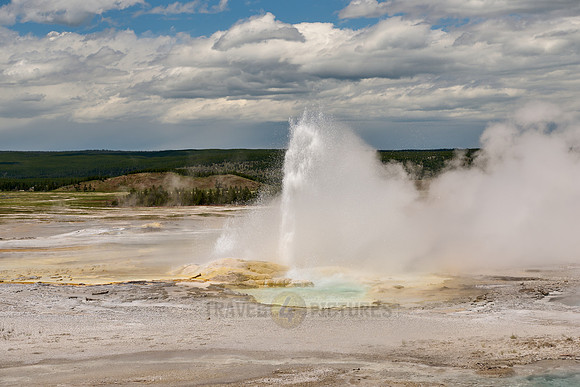 Fountain Geyser in Yellowstone Lower Geyser Basin
