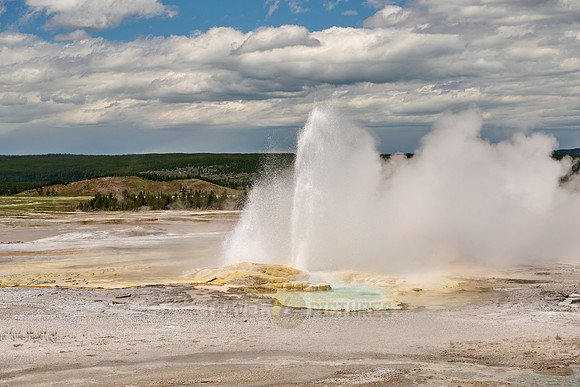 Fountain Geyser in Yellowstone Lower Geyser Basin