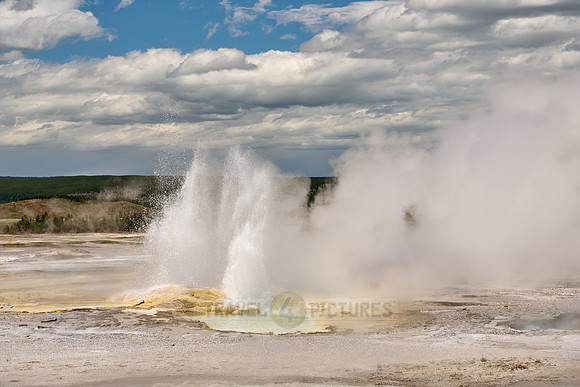 Fountain Geyser in Yellowstone Lower Geyser Basin