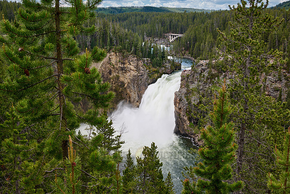 Upper Falls of Yellowstone River