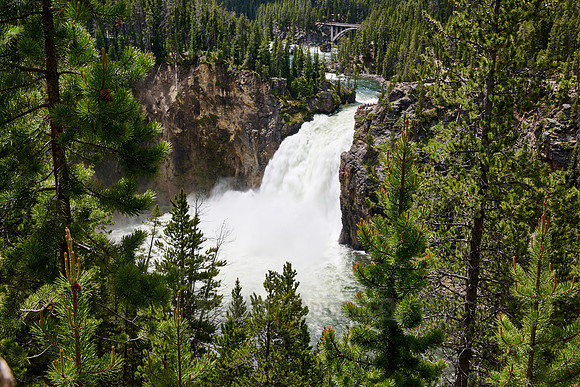 Upper Falls of Yellowstone River