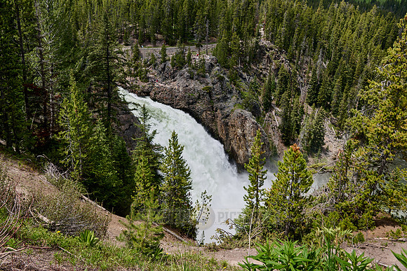 Upper Falls of Yellowstone River