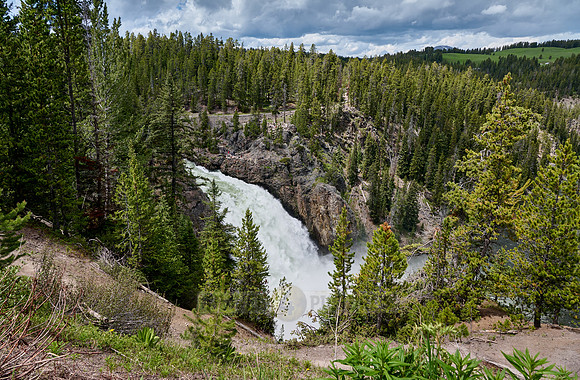 Upper Falls of Yellowstone River