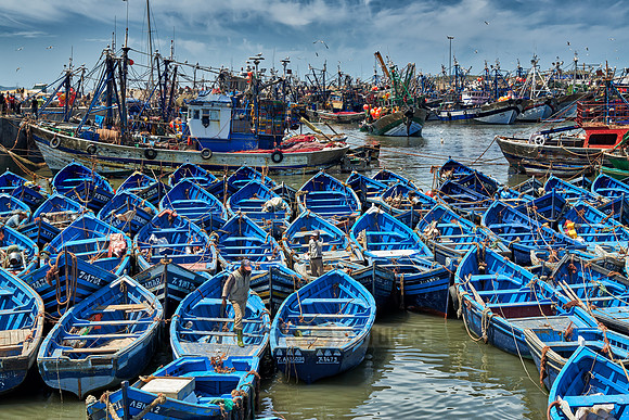 fishing boats in harbor of Essaouira