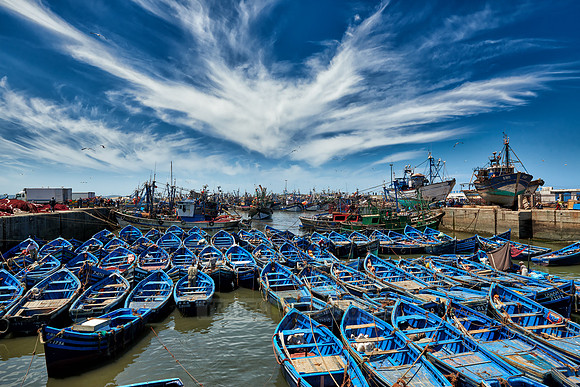 fishing boats in harbor of Essaouira