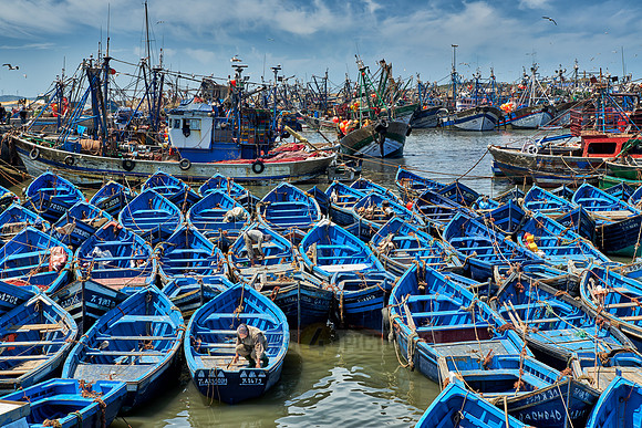 fishing boats in harbor of Essaouira