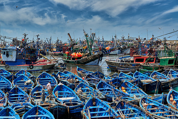 fishing boats in harbor of Essaouira