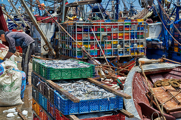 fishing boats in harbor of Essaouira