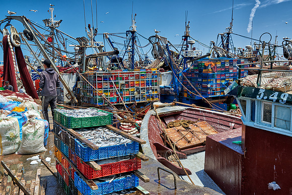 fishing boats in harbor of Essaouira
