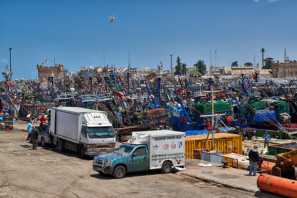 fishing boats in harbor of Essaouira