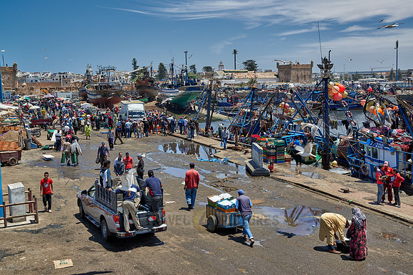 fishing boats in harbor of Essaouira