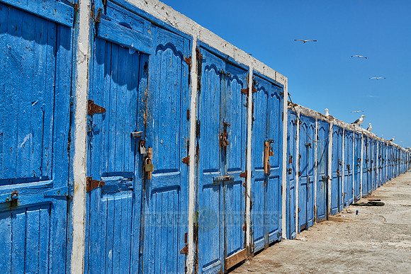 locked wooden blue doors in row from fishery equipment sheds