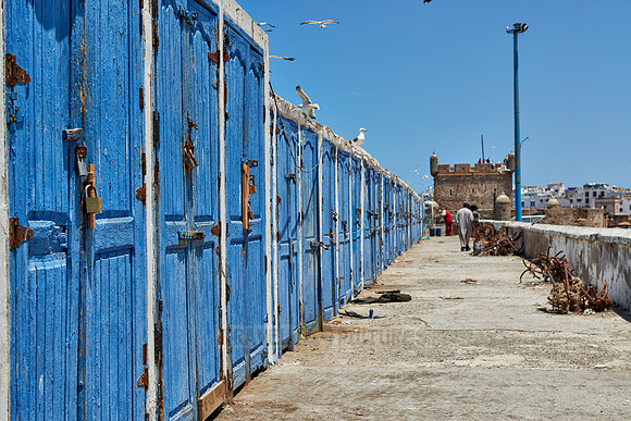 locked wooden blue doors in row from fishery equipment sheds