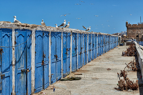 locked wooden blue doors in row from fishery equipment sheds