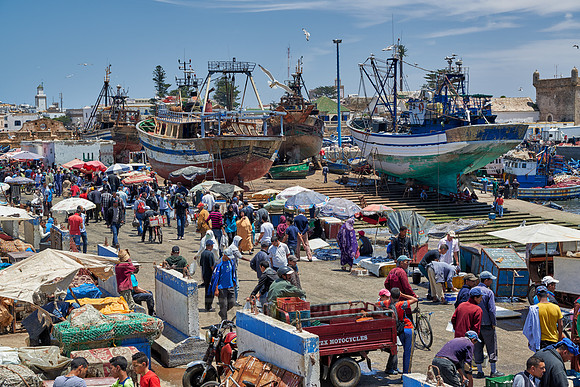 fishing boats in harbor of Essaouira