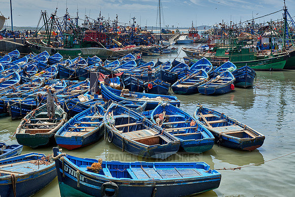 fishing boats in harbor of Essaouira