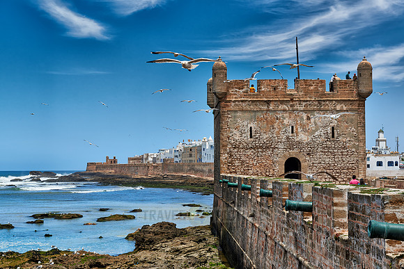 citadel of Essaouira