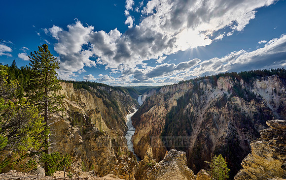 Lower Falls of the Yellowstone River from Artist Point,