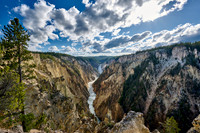 Lower Falls of the Yellowstone River from Artist Point,
