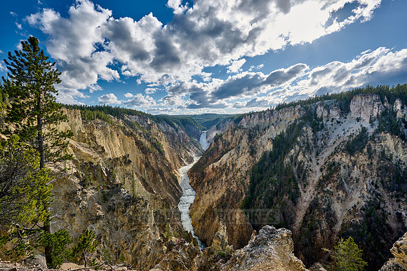 Lower Falls of the Yellowstone River from Artist Point,