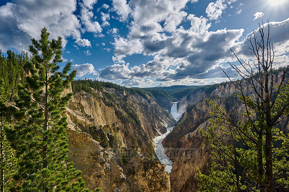 Lower Falls of the Yellowstone River from Artist Point,