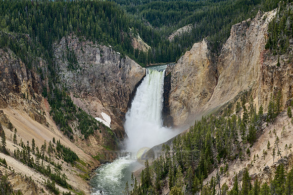 Lower Falls of the Yellowstone River