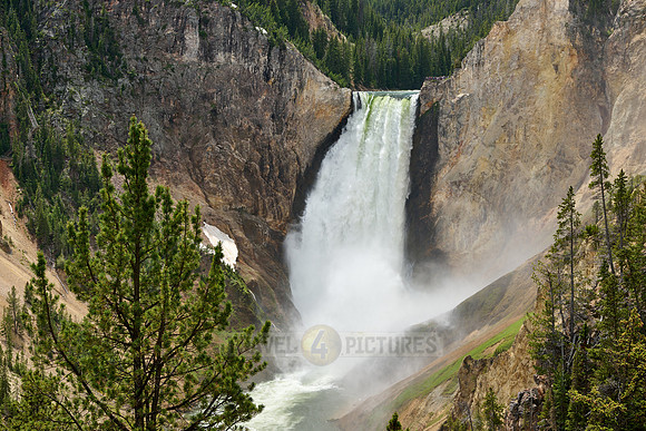 Lower Falls of the Yellowstone River