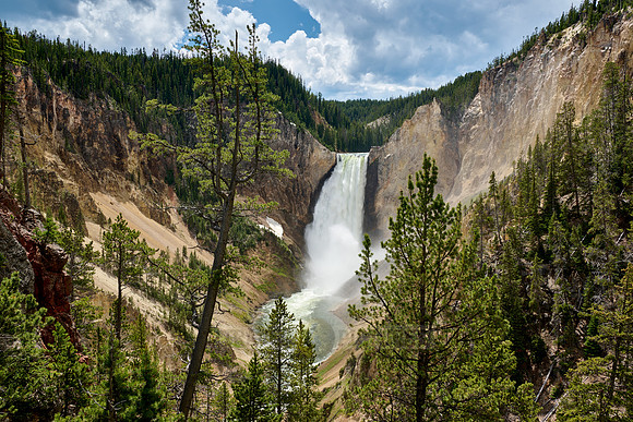 Lower Falls of the Yellowstone River