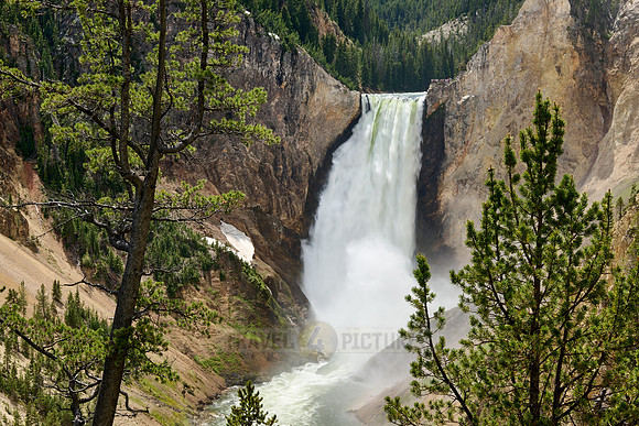 Lower Falls of the Yellowstone River