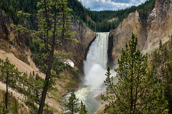Lower Falls of the Yellowstone River