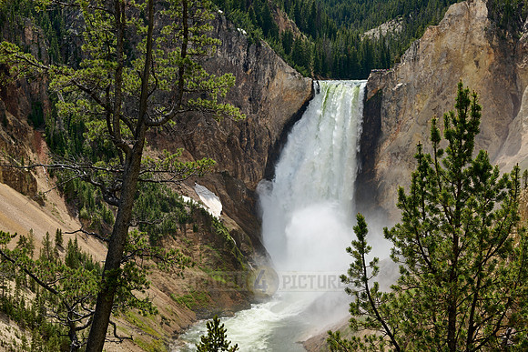 Lower Falls of the Yellowstone River