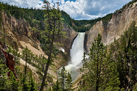 Lower Falls of the Yellowstone River