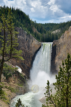 Lower Falls of the Yellowstone River