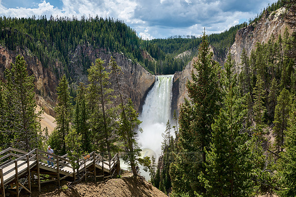 Lower Falls of the Yellowstone River