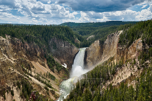 Lower Falls of the Yellowstone River