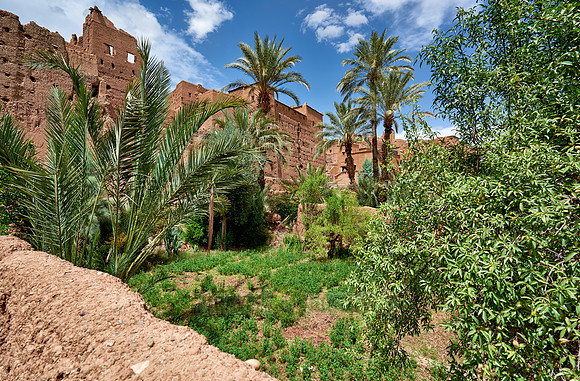 Kasbah Tamenougalt
